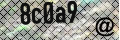 antispam