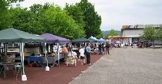 Gewerbeschau Denzlingen 09 - Flohmarkt III